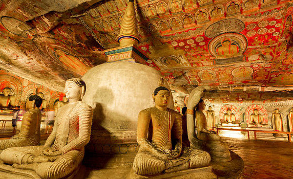 Cultural and Wildlife Tour