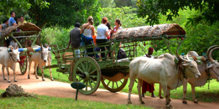 Sigiriya, Dambulla & Village Tour